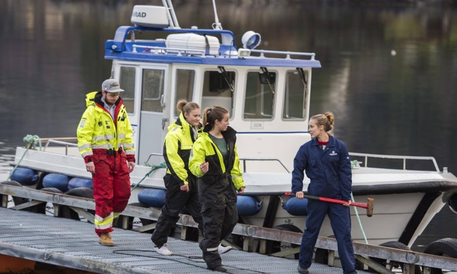 Skulestruktur for framtida? 