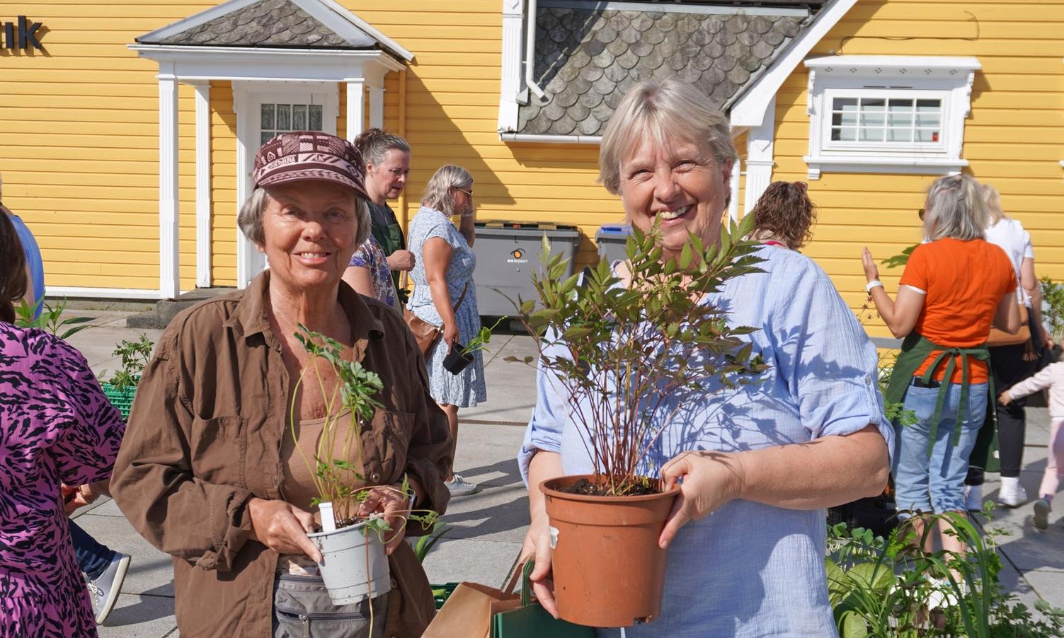 Yrande liv frå start på planteloppemarknaden 