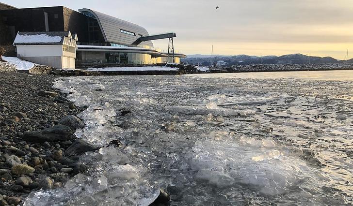 Mobergsvikjo i dag. Ein kald og stille fjord kan ha skapt ferskvannsfeller som hestmakrellen har gått i. (Foto: