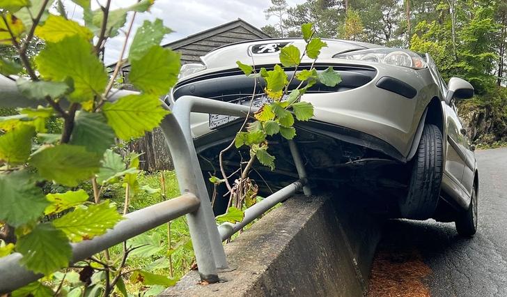 Bilbergar er på veg. (Foto: Susann Haukeland Børnes)